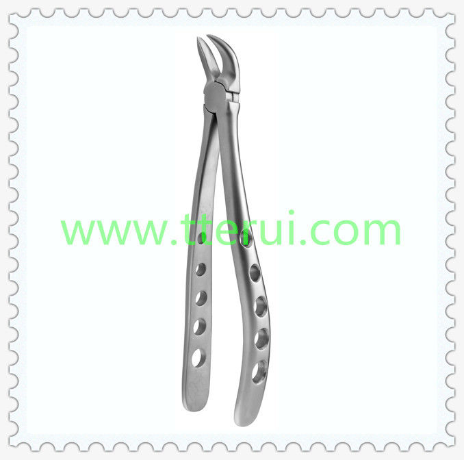 Tooth Forceps TR-IF-662