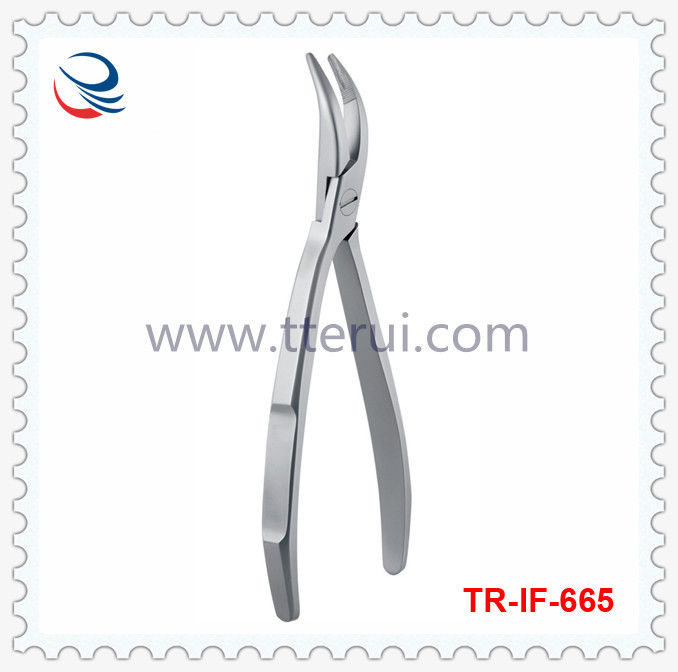 Tooth Forceps TR-IF-665 For Upper and Lower Roots-Adults